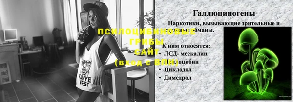 дурь Пестово