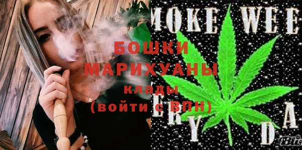 дурь Пестово