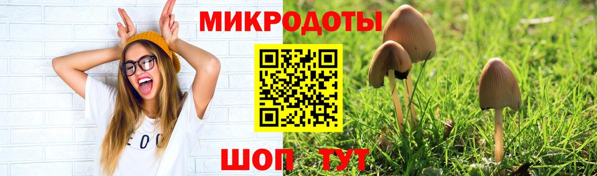 Галлюциногенные грибы прущие грибы  Вход с VPN  Стрежевой  Псилоцибиновые грибы мухоморы 
